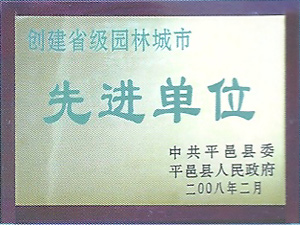 榮譽(yù)證書